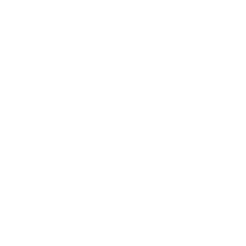 Patrícia Salgado | Psicanalista